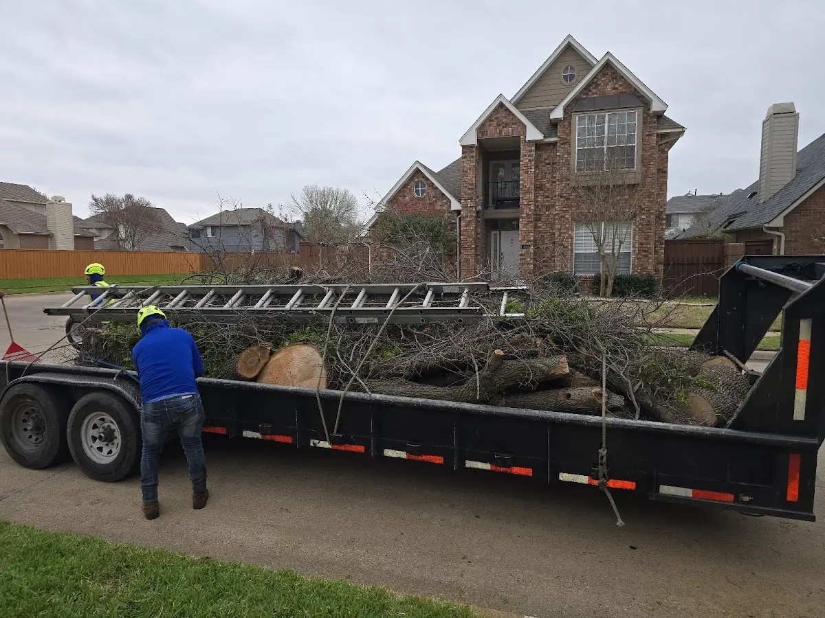 Expert Lot Clearing with proper safety equipment in Hanna